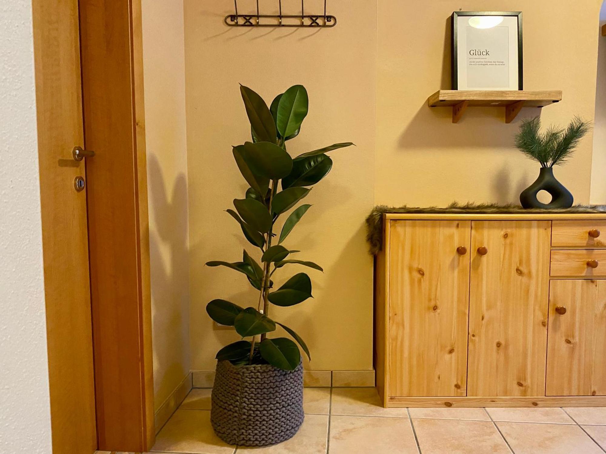 Appartement Auwald Форштау Екстер'єр фото